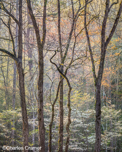 Fine Photographic Print by Charles Cramer, at Sun to Moon Gallery
